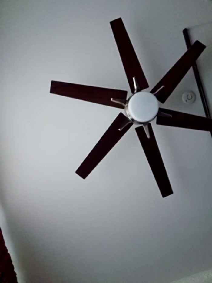 Hornyblond_Bella