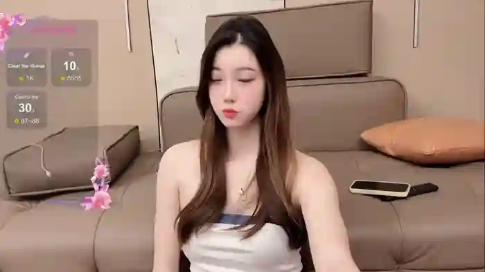 2024/08/08/stripchat-20-nova-11-48-16
