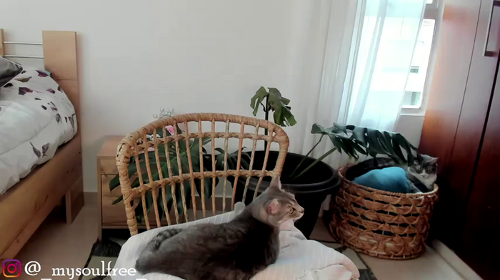 GrettaBenett