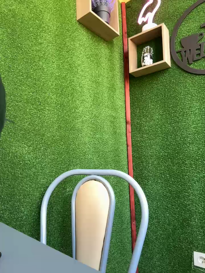CrazyTori