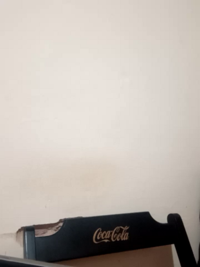 Peludo173317