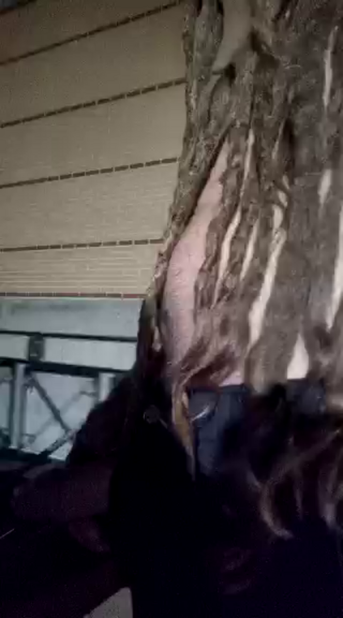 QcMisterv13