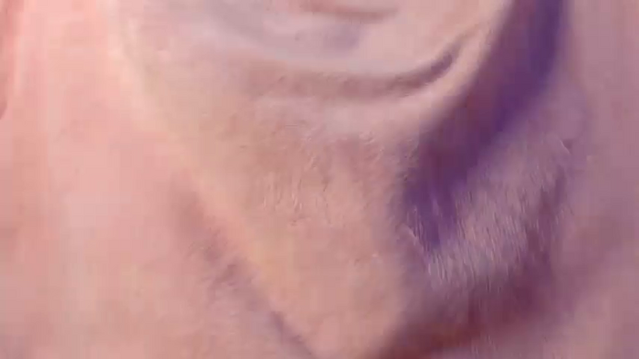 Lana_Delmont