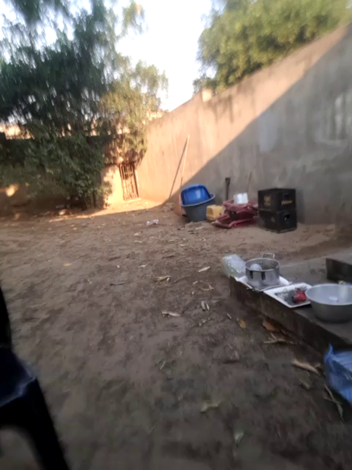 Papacrazy69