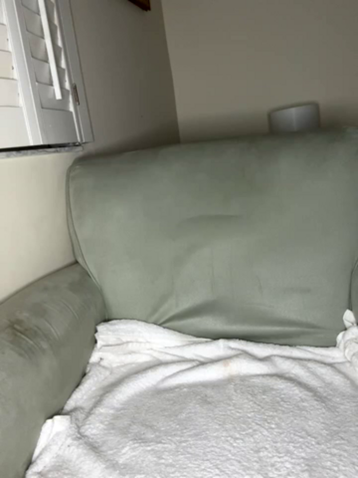 largeboobies30