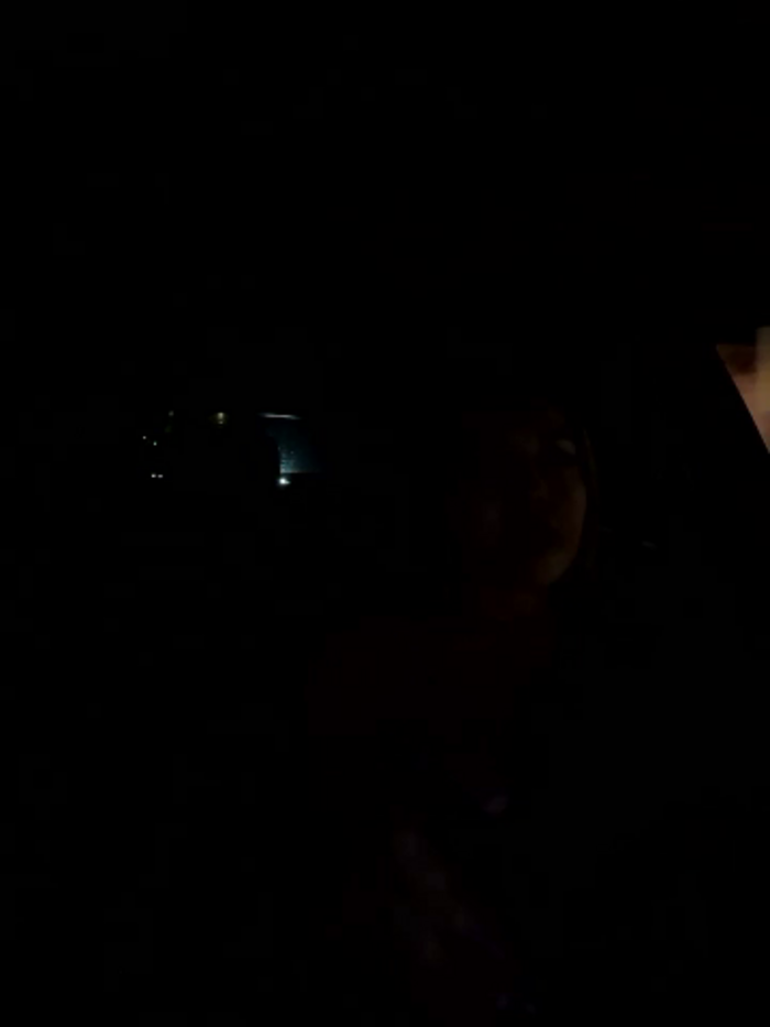Alexa_fort