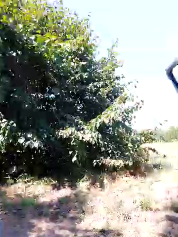 Fonixxx18_
