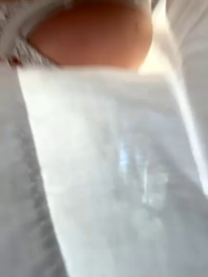 eveangelll