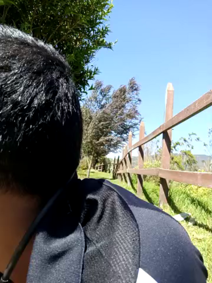 _ALICIA05