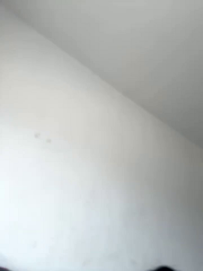 horny_roomiess