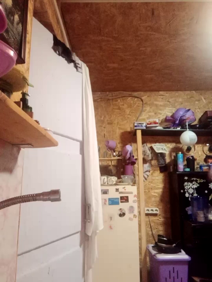 BrookeStreams