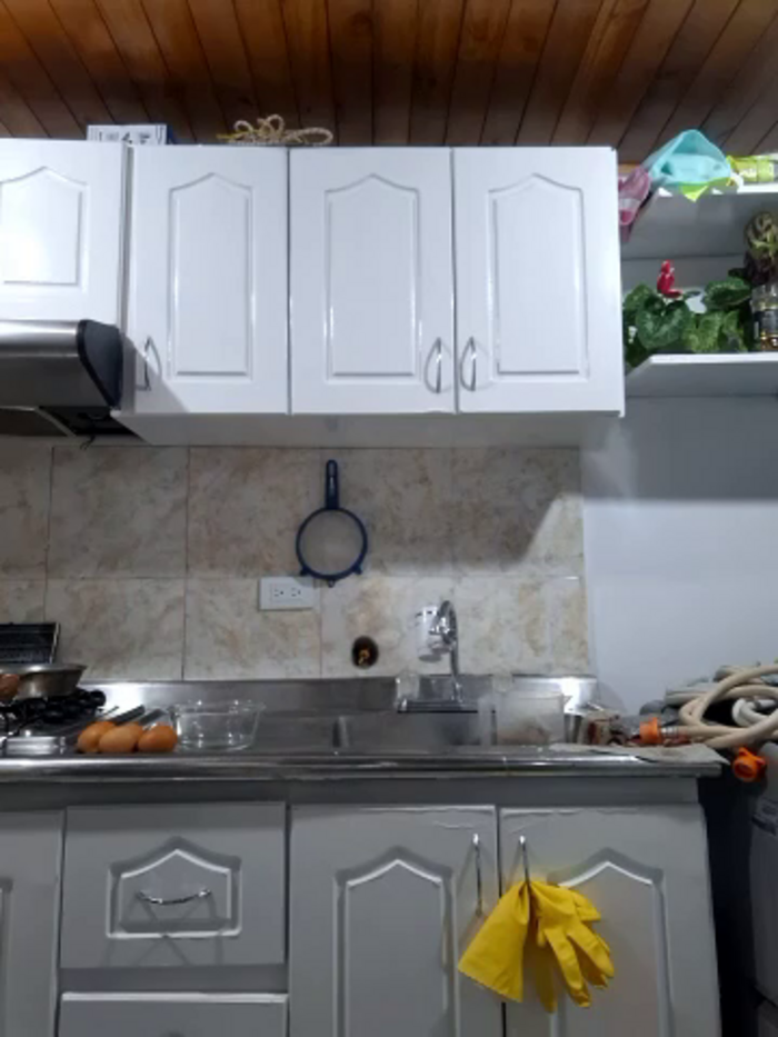 Meganrussii