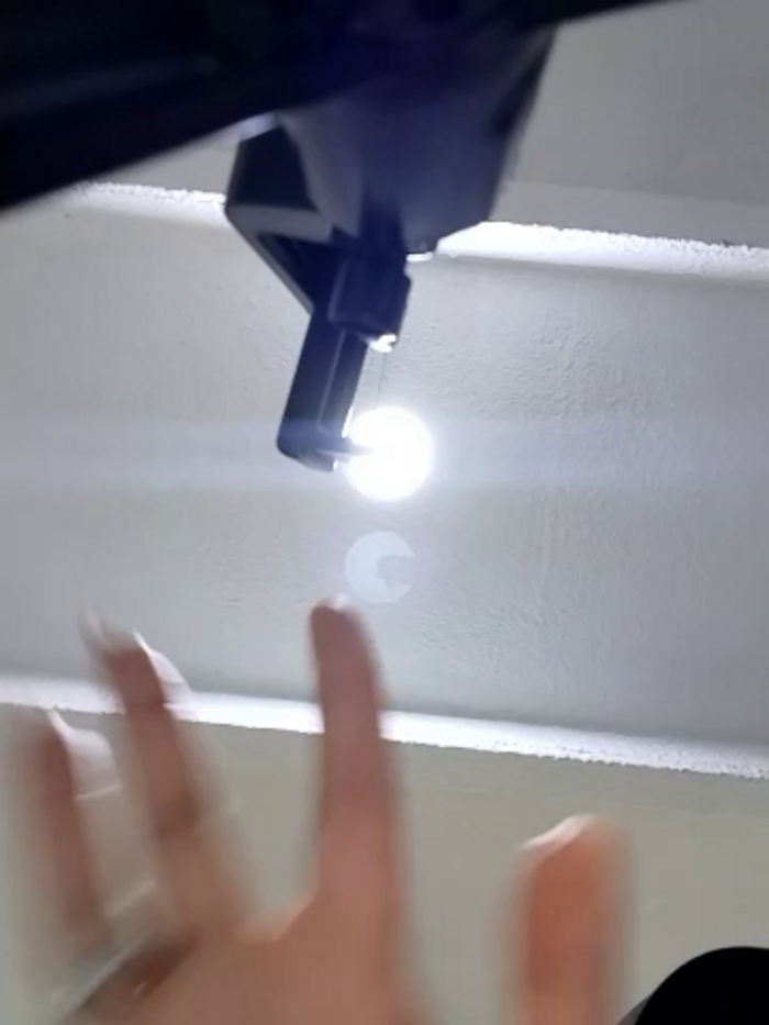 charlotte_stevenss_