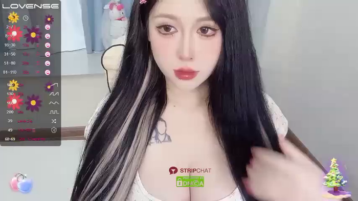 Naixue-520