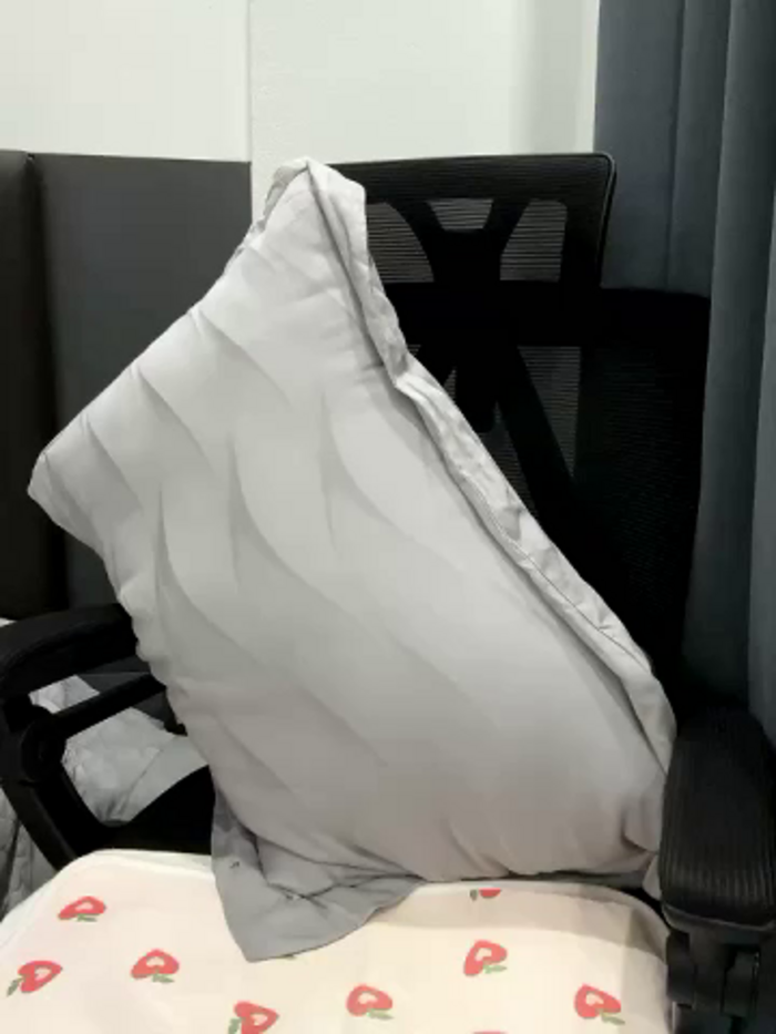 Yashi_ma