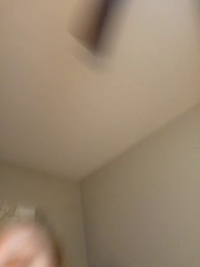 AmethystFoxx