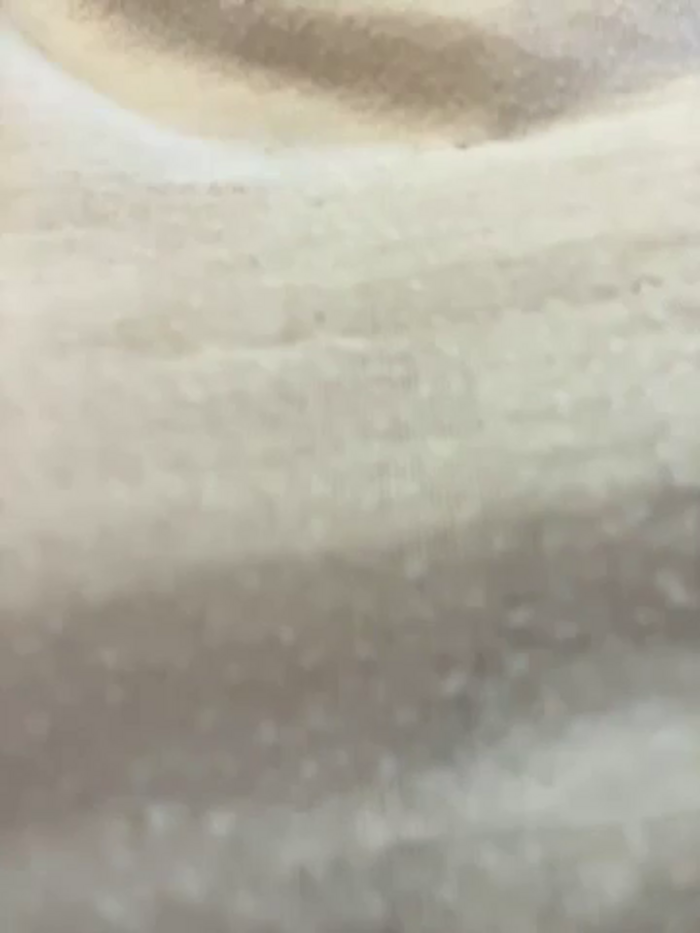 didihairypussy