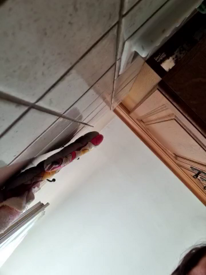 nokky3194