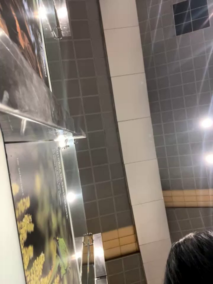 Saorii_kiido