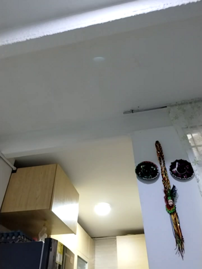charlotte_stevenss_