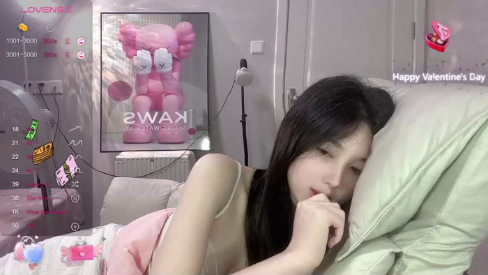 Aami-521