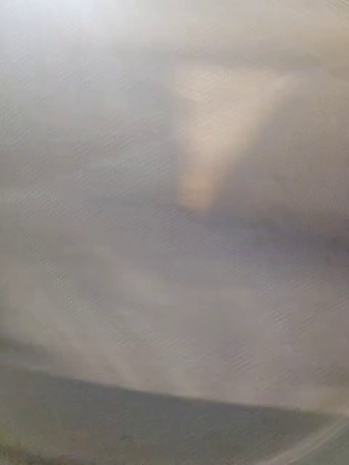 CataleyaRusso