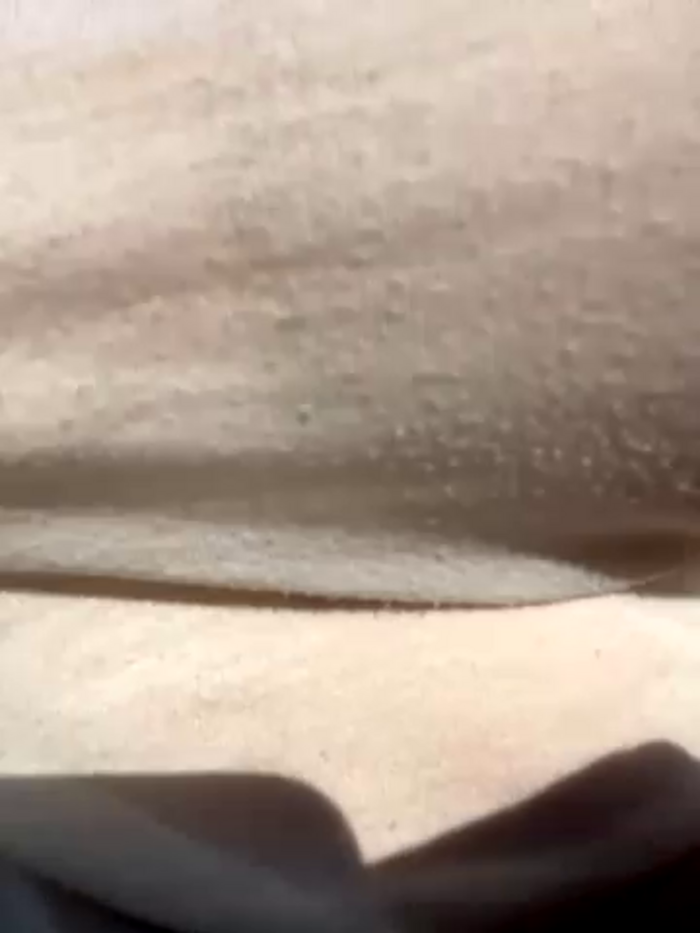 didihairypussy