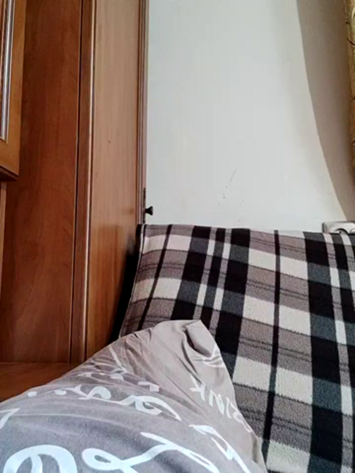 Zvezdnaya_Vedmichka
