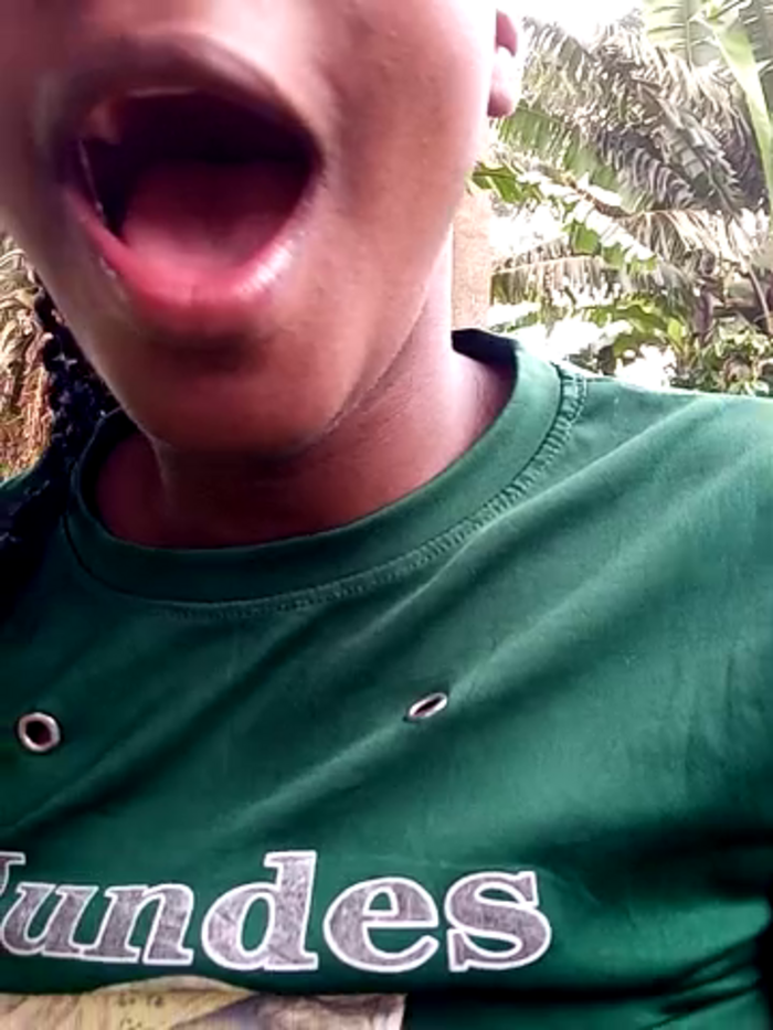 Babi_sham