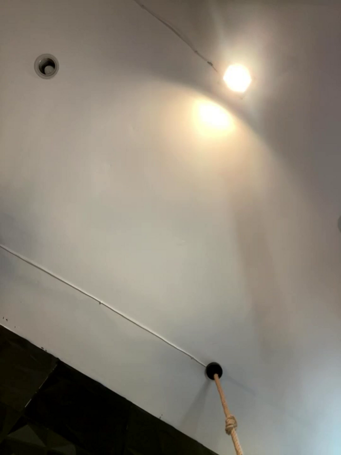 Alexandra_duque