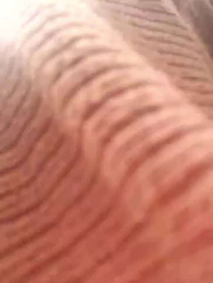 emma_tour