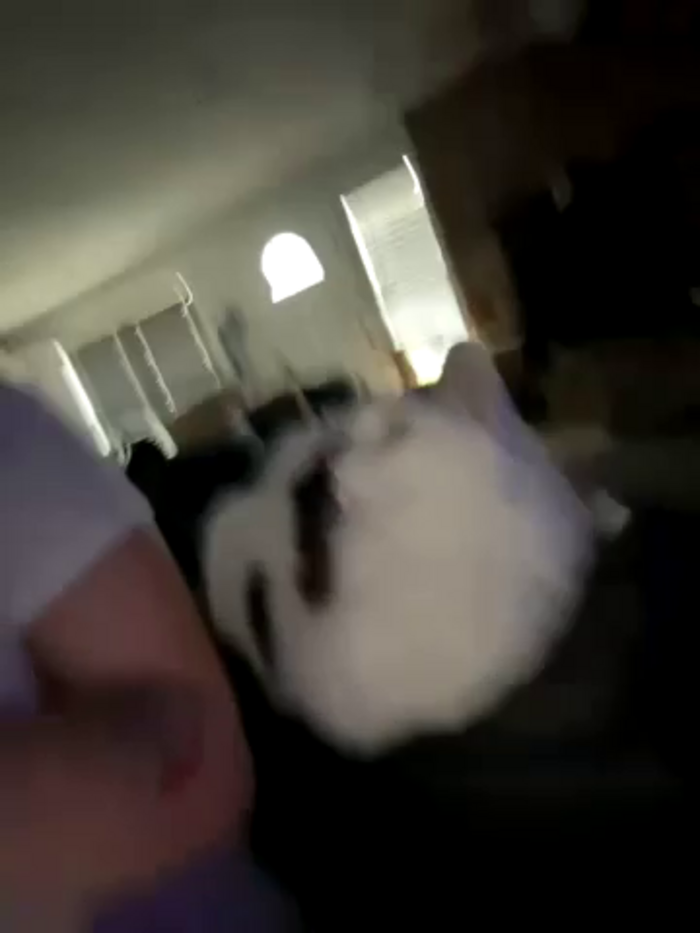Cutiepiespanks
