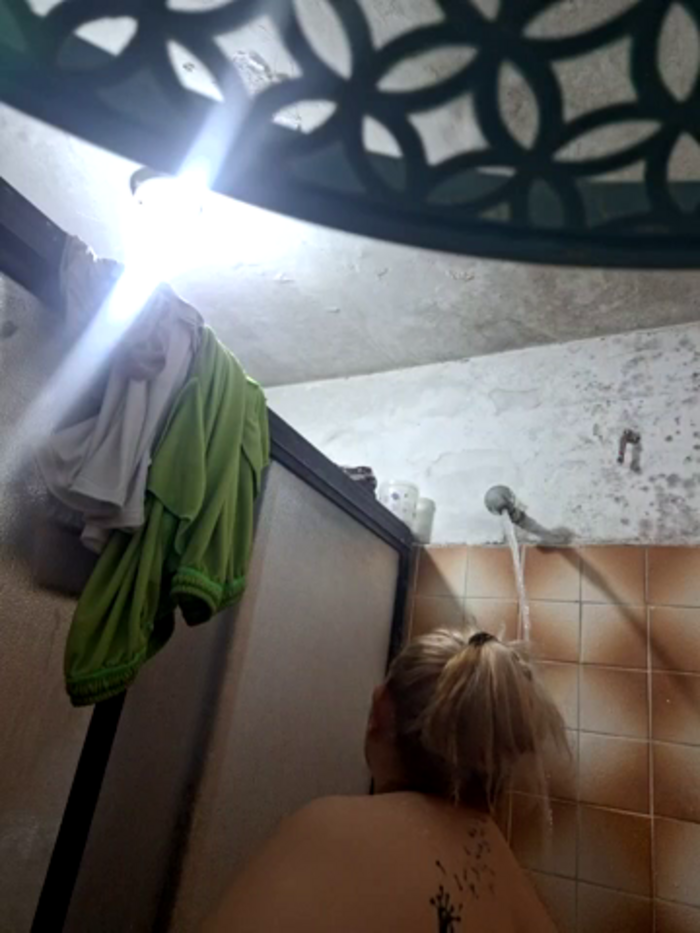 alexa_243