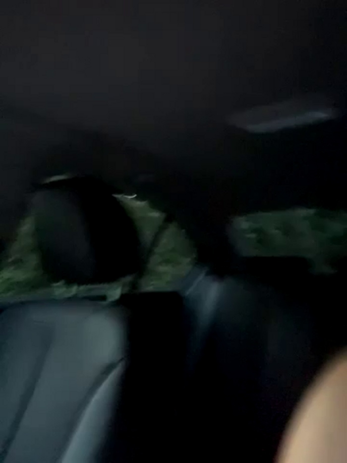clairewntr