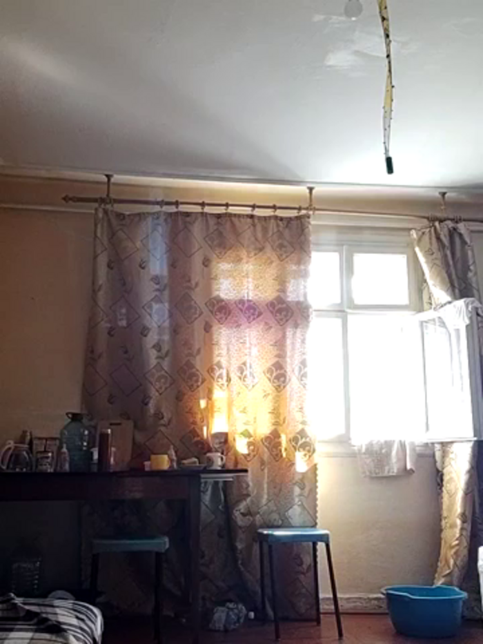 Zvezdnaya_Vedmichka