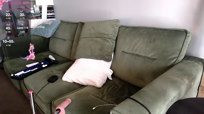 BlazeleighFaye