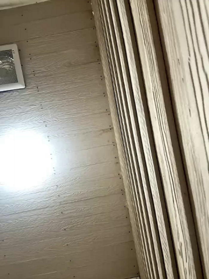 Bella_nasty69