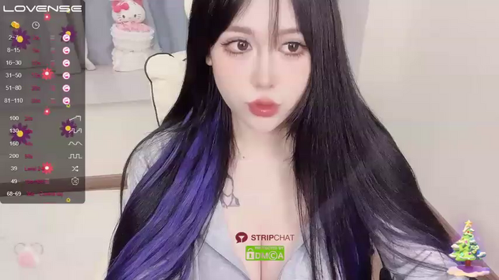 Naixue-520