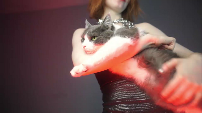 ginger_hugs