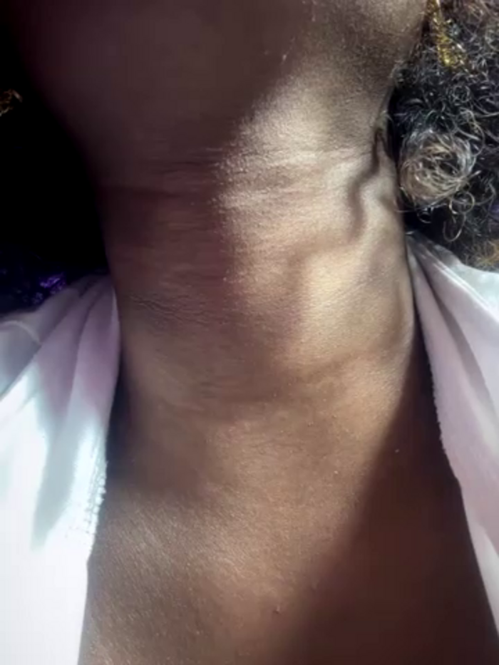 Tayra_Siny