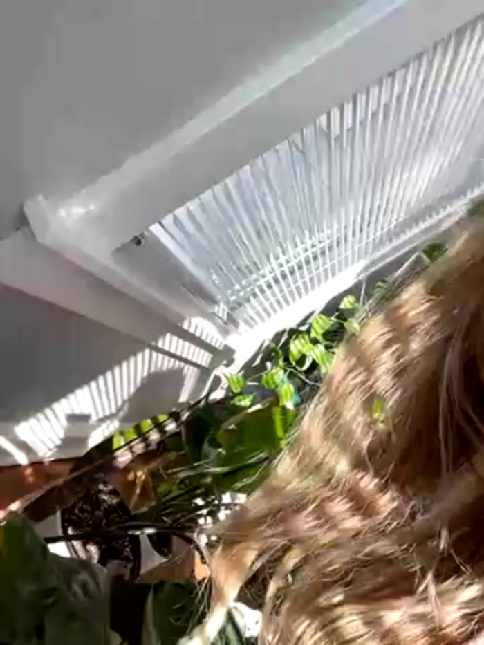LoveShae_