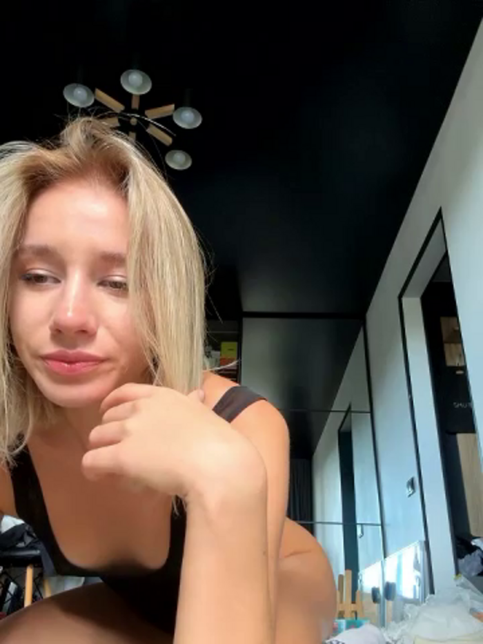 SSSATIVA_model