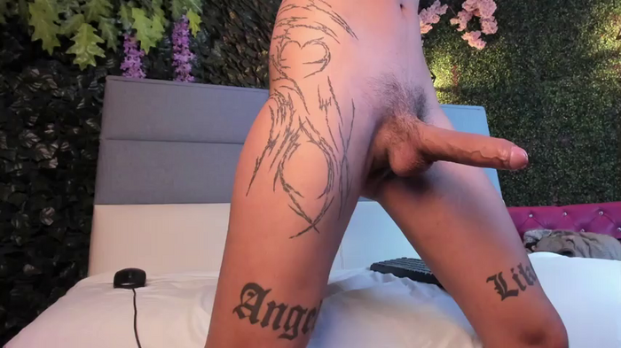 Novi_rosse