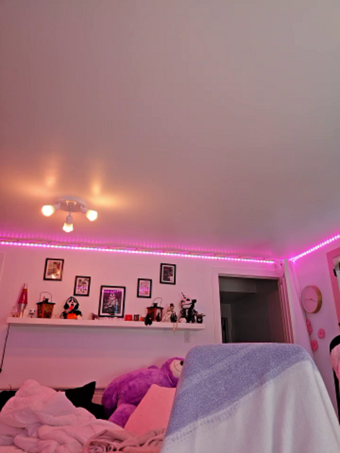 LilyOrion