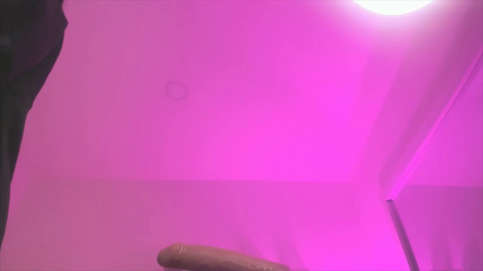 Megan_Leal1