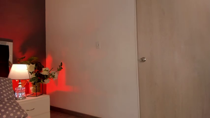 thecrazyadamss_