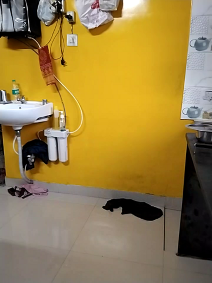 ANUBHABI