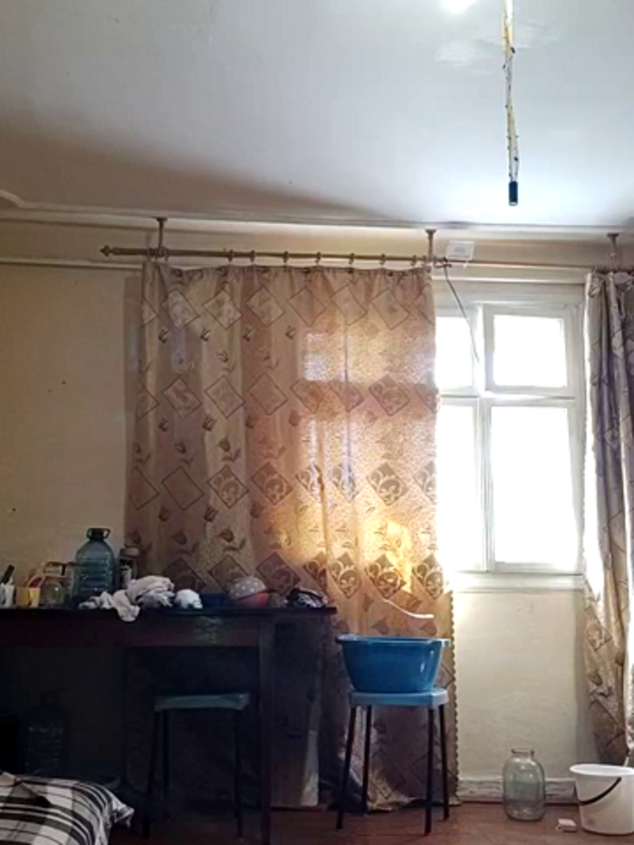 Zvezdnaya_Vedmichka