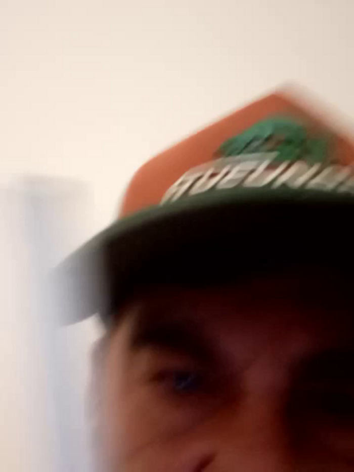 Peludo173317
