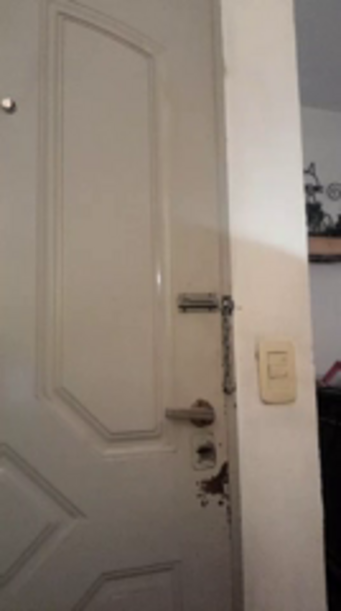 Kleopatracolo